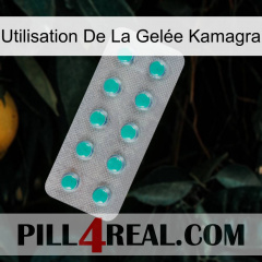 Utilisation De La Gelée Kamagra 28
